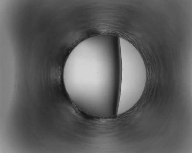 X0000088490664200705221023