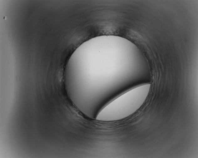 X0000088490665200705221023