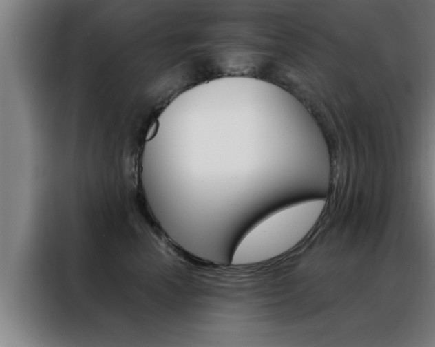 X0000088490666200705221023