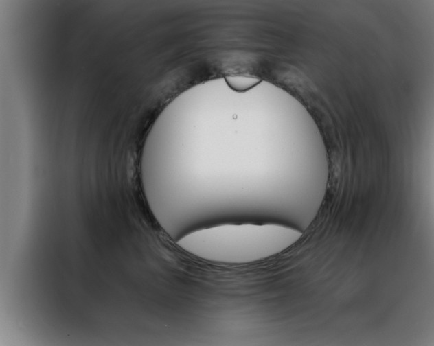 X0000088490667200705221023