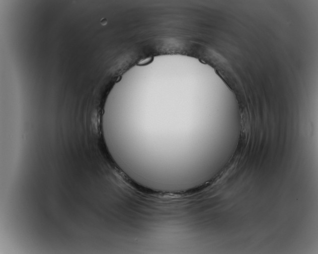 X0000088490669200705221023