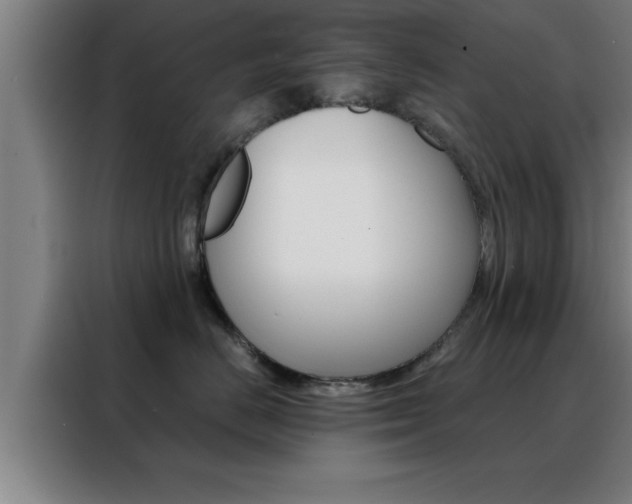 X0000088490670200705221023