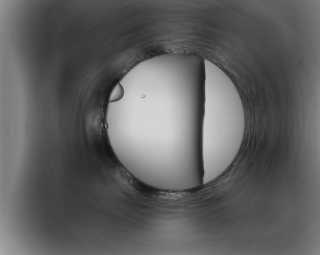 X0000088490671200705221023