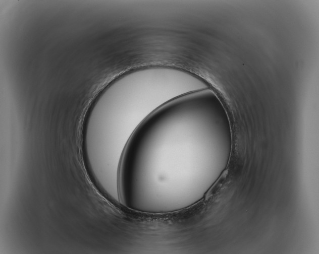 X0000088490673200705221023
