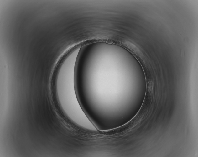 X0000088490676200705221023
