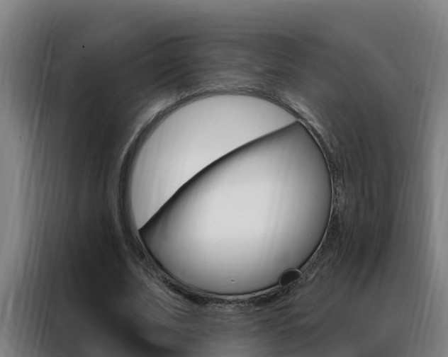 X0000088490679200705221023