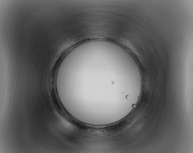 X0000088490683200705221023