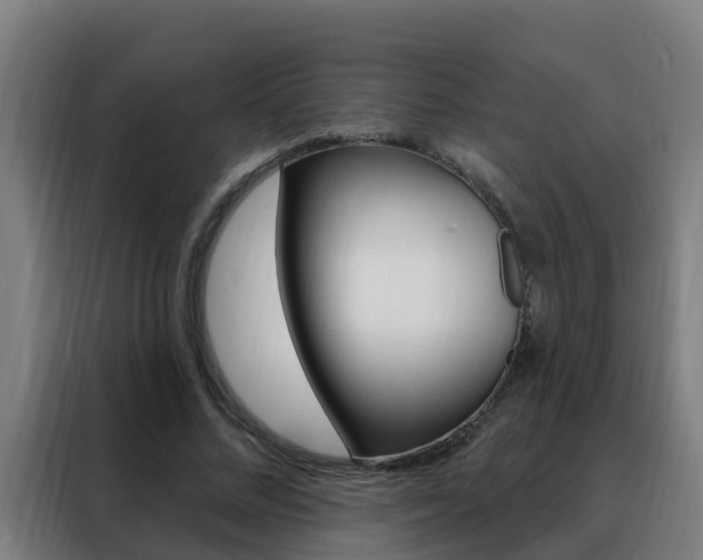 X0000088490684200705221023