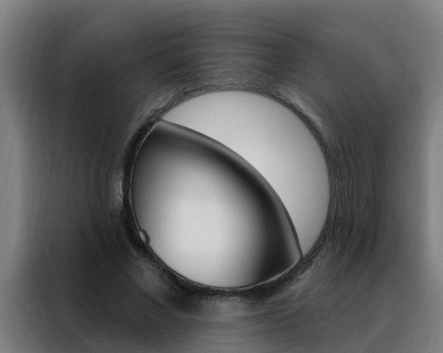 X0000088490685200705221022