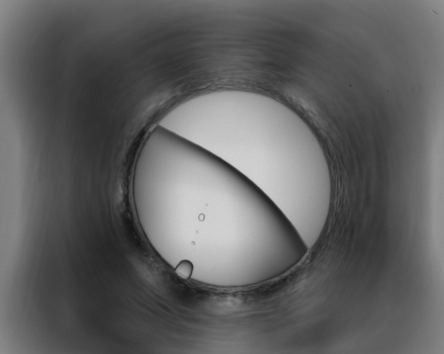X0000088490687200705221022