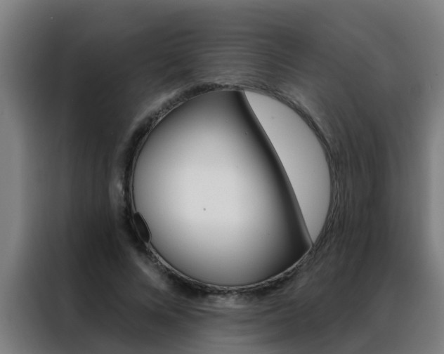 X0000088490688200705221022