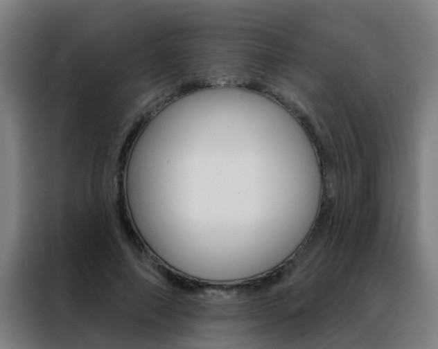 X0000088490690200705221022