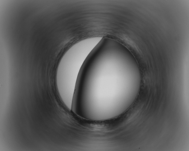 X0000088490693200705221022