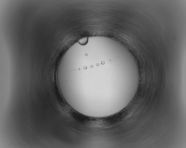 X0000088490695200705221022