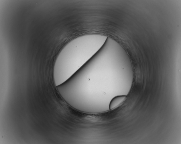 X0000088490699200705221022