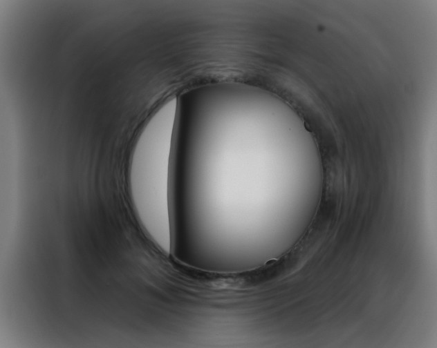 X0000088490700200705221022