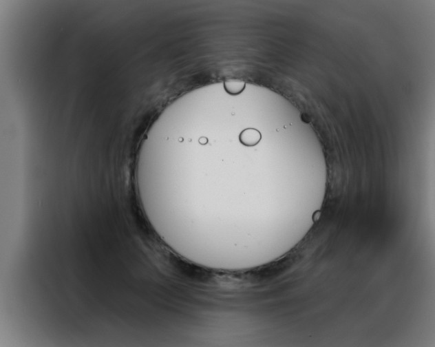 X0000088490703200705221022
