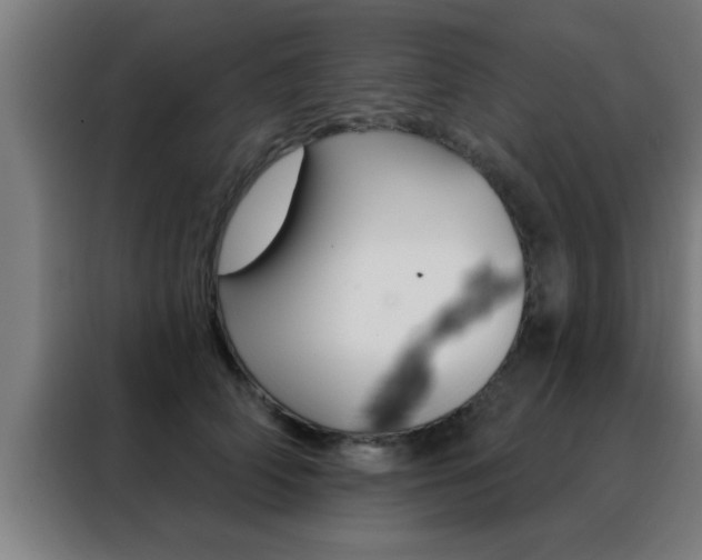 X0000088490706200705221022
