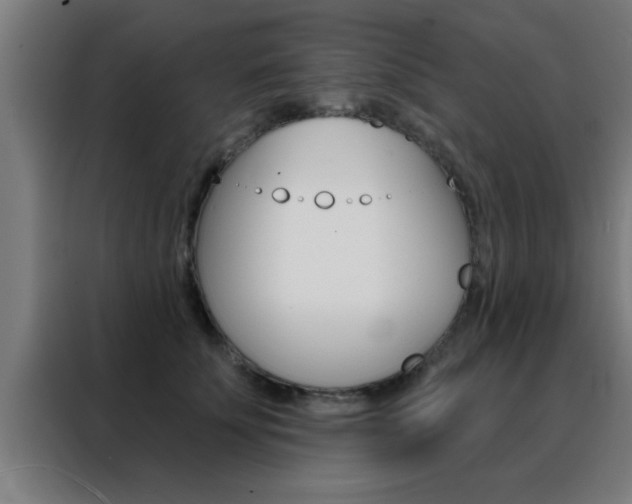 X0000088490707200705221022