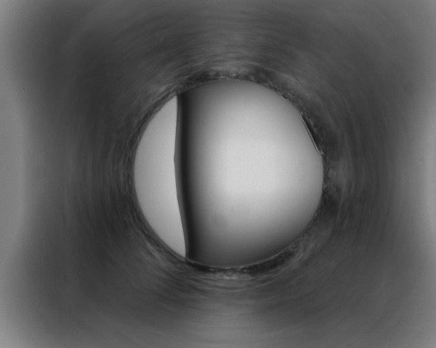 X0000088490708200705221022