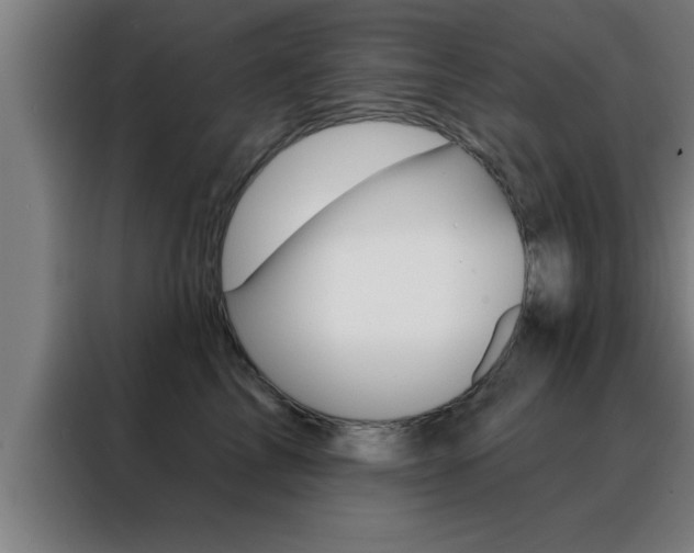 X0000088490713200705221022