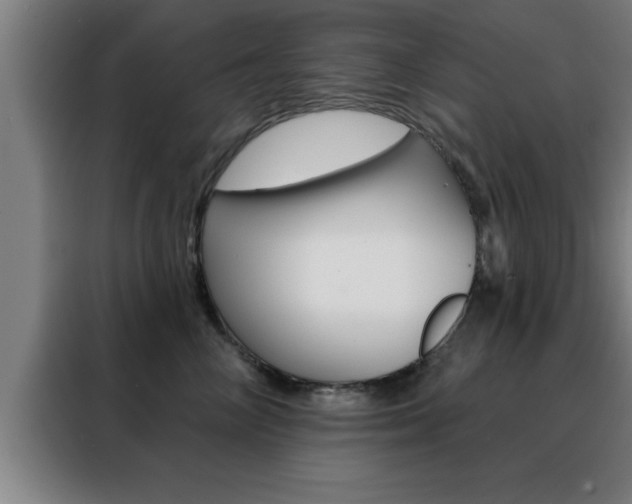 X0000088490714200705221022