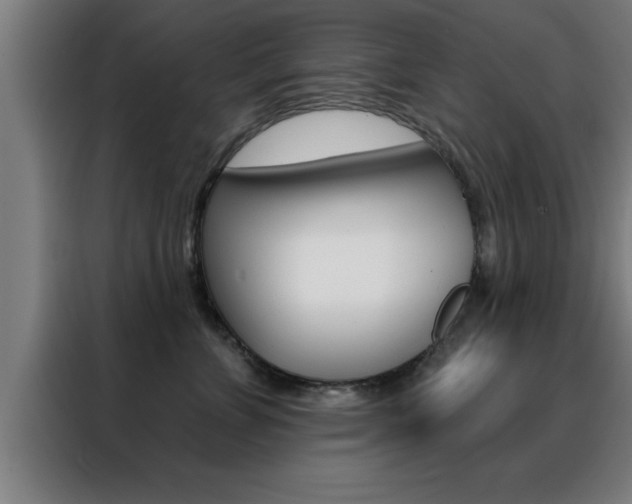 X0000088490715200705221022