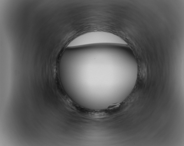 X0000088490716200705221022