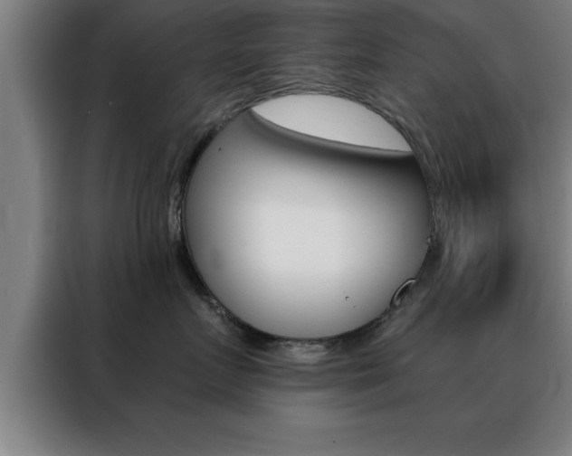X0000088490719200705221022