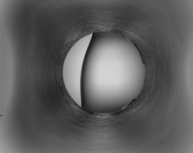 X0000088490720200705221022