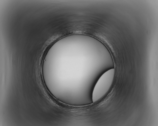 X0000088490721200705221021