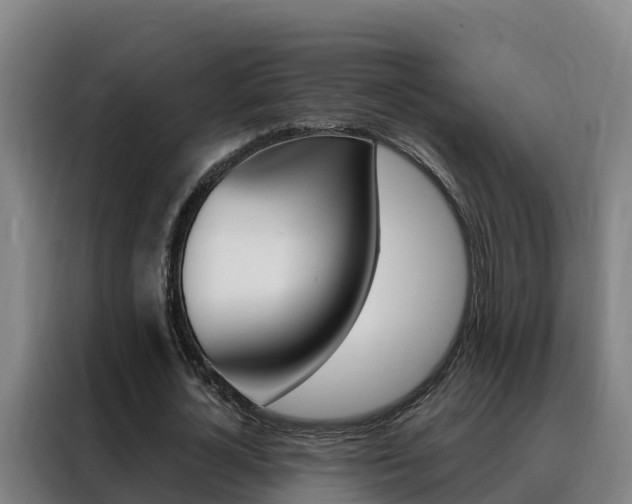 X0000088490724200705221021