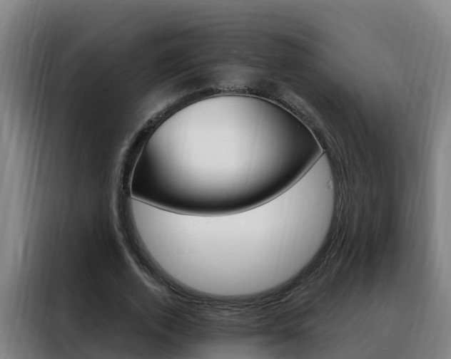 X0000088490728200705221021