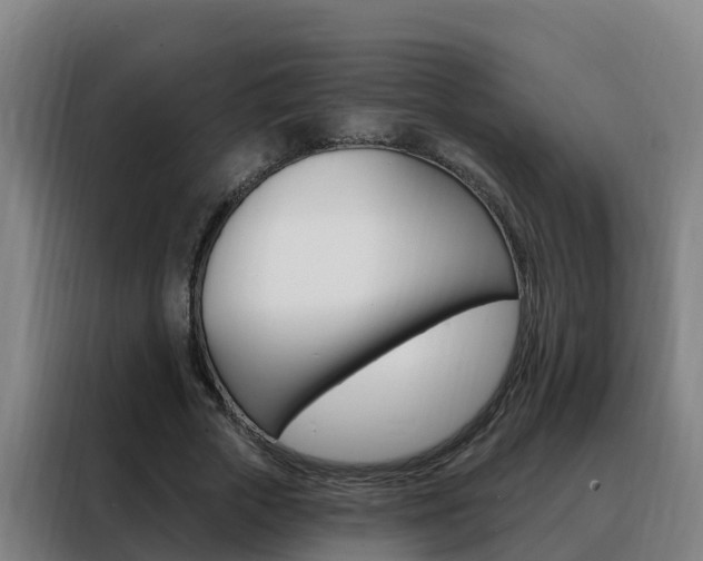 X0000088490729200705221022
