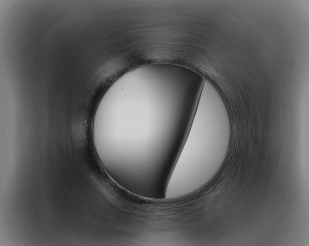 X0000088490735200705221022