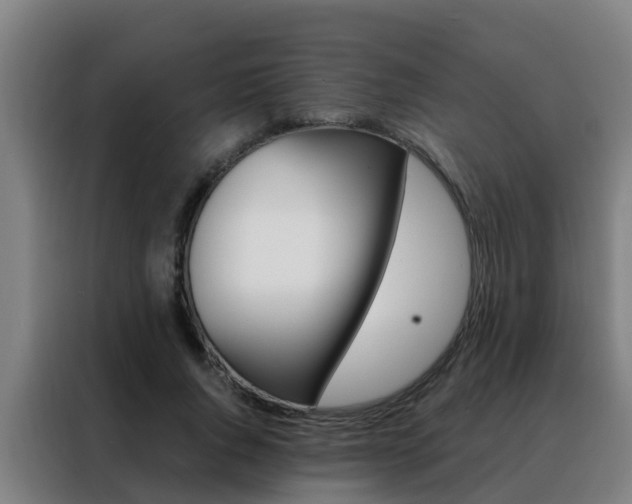 X0000088490736200705221022