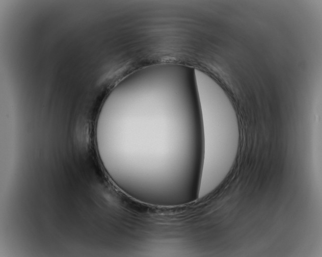 X0000088490740200705221022