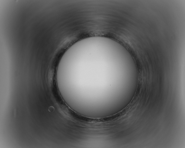 X0000088490742200705221022