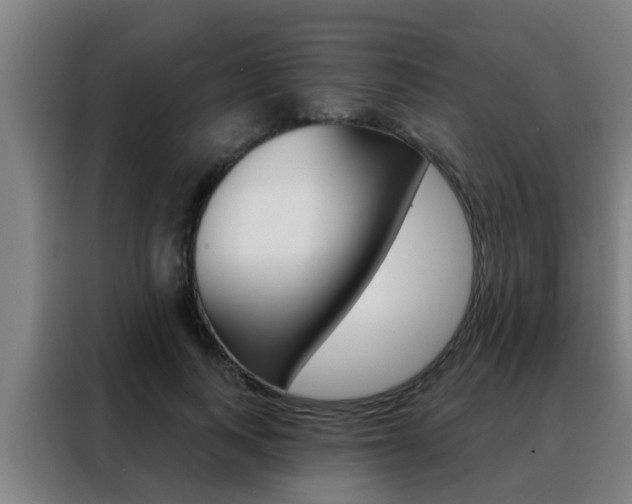 X0000088490743200705221022