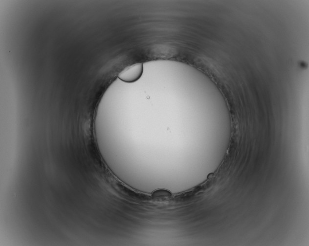 X0000088490745200705221022