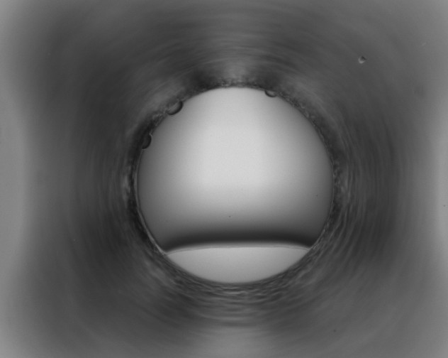 X0000088490746200705221022