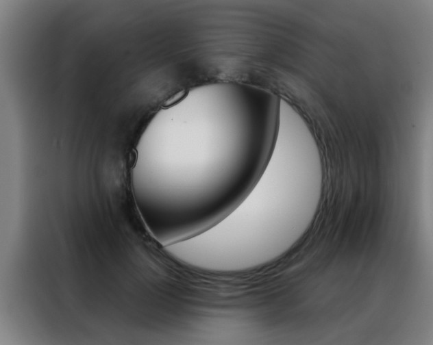 X0000088490748200705221022