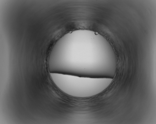 X0000088490749200705221022