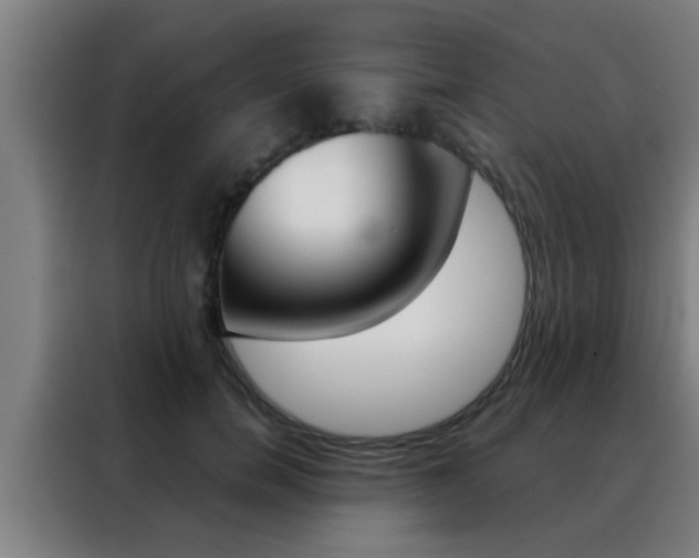 X0000088490750200705221022