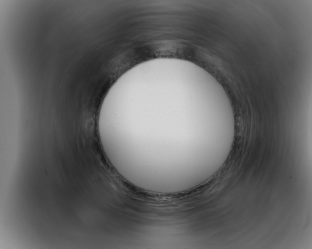 X0000088490753200705221022