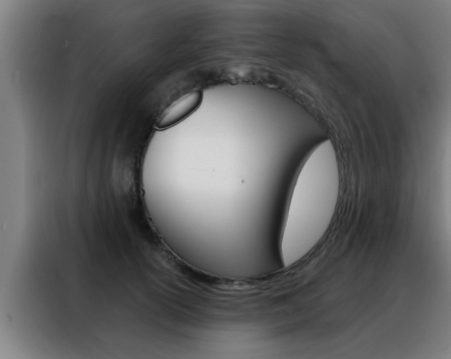 X0000088490754200705221022