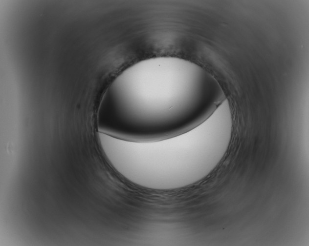 X0000088490756200705221022