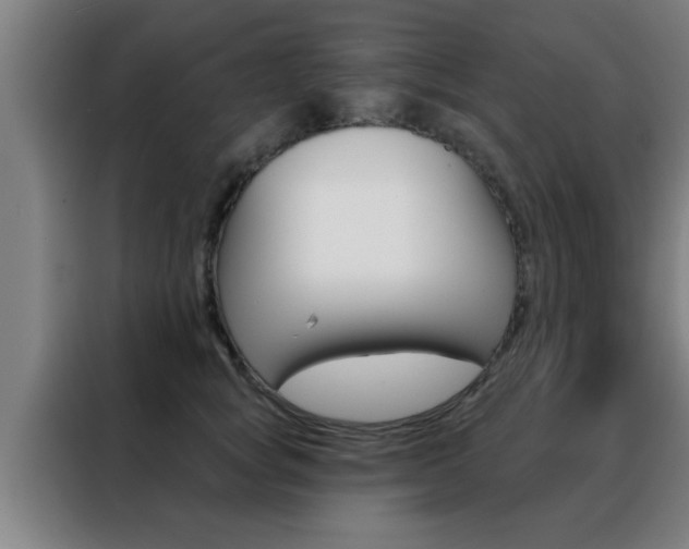X0000088490757200705221022