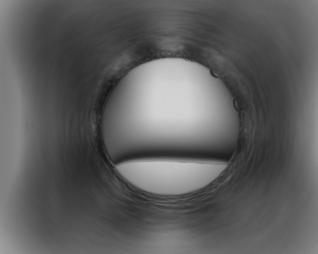 X0000088490758200705221022