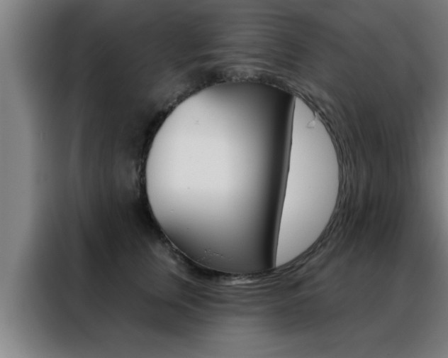 X0000088490759200705221022